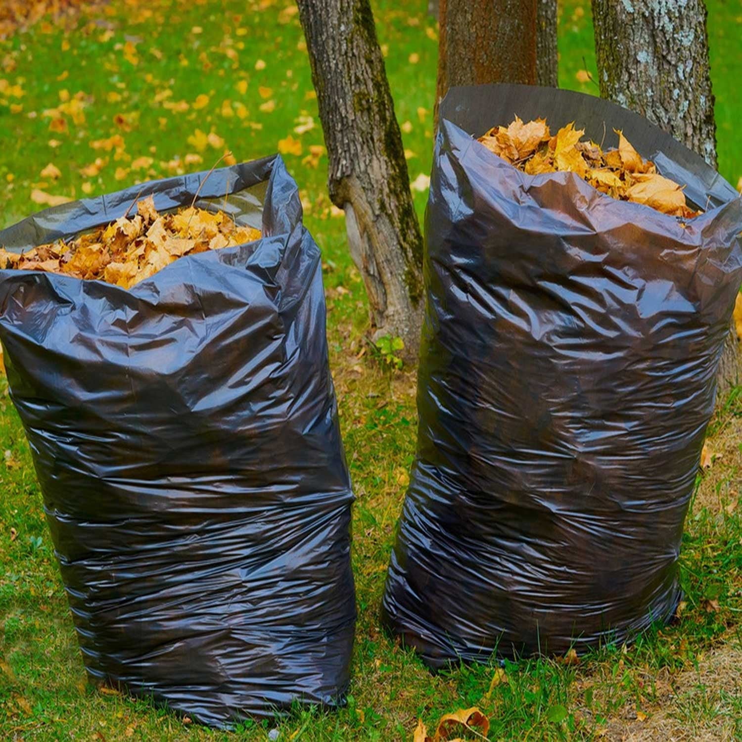 55 Gallon Trash Bags (60 Count) - Black Heavy Duty Outdoor Garbage Bags, with Tying Ropes